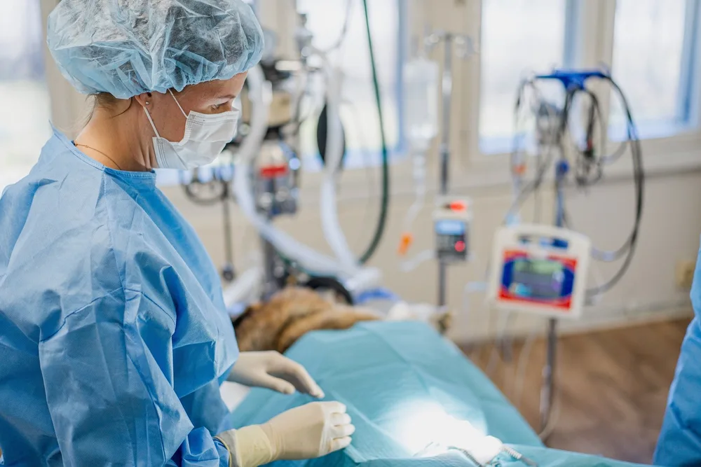An anaesthetised patient under surgical drapes in the operating room; in the background a drip stand, an infusion pump and a patient monitor